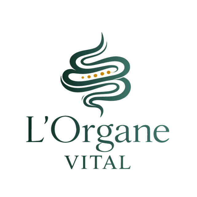 L'Organe Vital